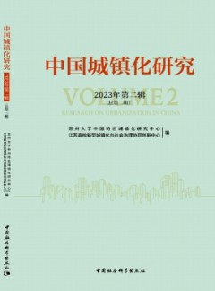 中国城镇化研究